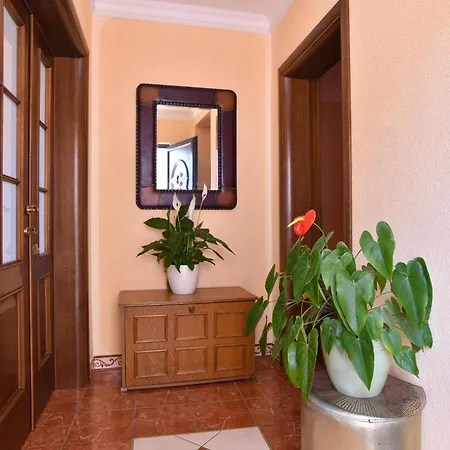 Vila Apartments Lidija Petrovac Exterior photo